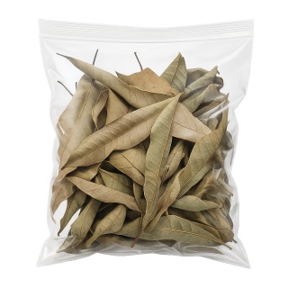 EXO PLANET Mango Leaves – liście mango 20g