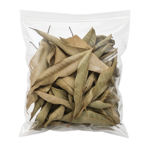 EXO PLANET Mango Leaves – liście mango 20g