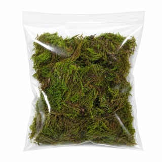 EXO PLANET Mech torfowiec Sphagnum Moss Zielony (Green moss) 25g