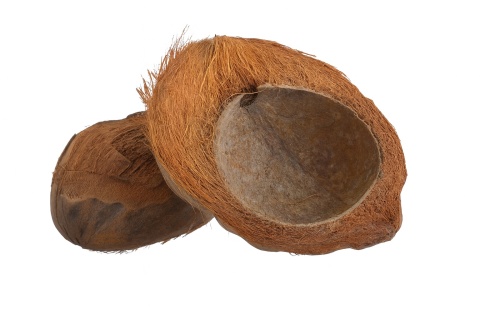 EXO PLANET Miska z połówki kokosa