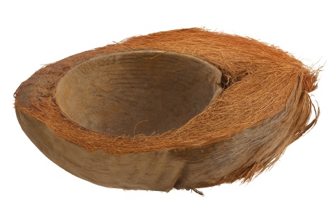 EXO PLANET Miska z połówki kokosa