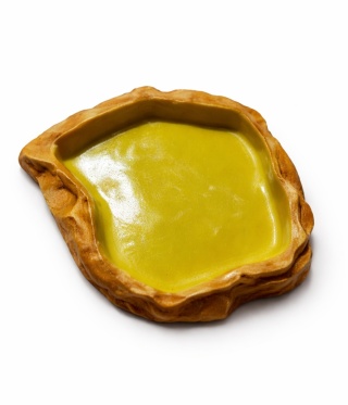 EXO PLANET Miska z żywicy Jungle Type 6 (18,5x16x2,5 cm)