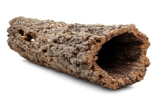 EXO PLANET Tuba korkowa 40 cm (Ø 5–10 cm)