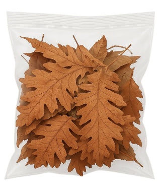 EXO PLANET Oak Leaves - Liście dębu 30g