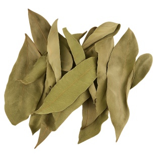 EXO PLANET Longan leaves - liście longanu 40g